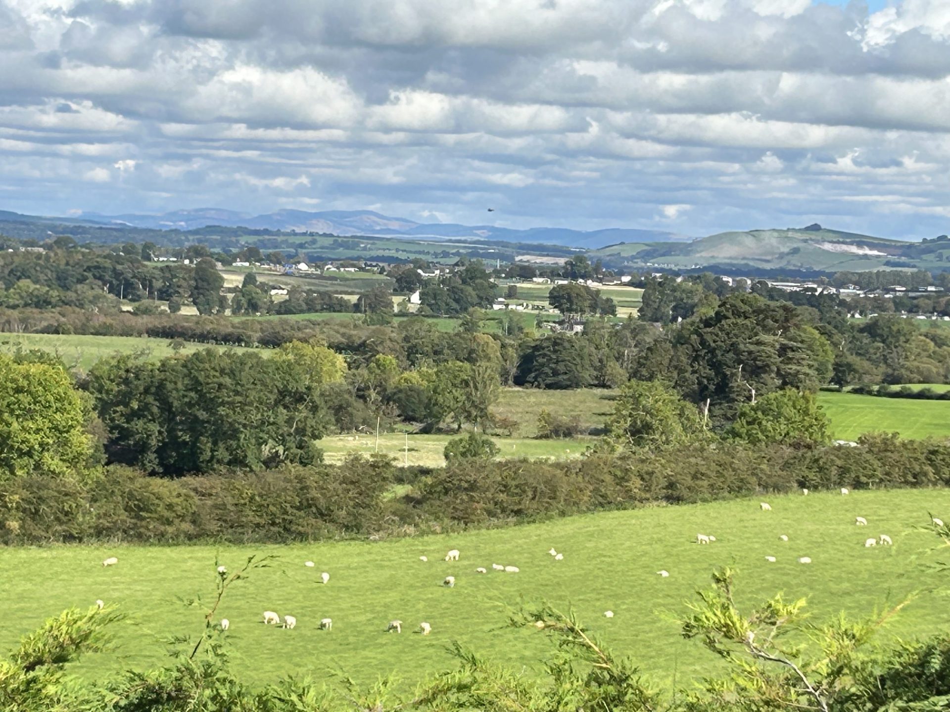 Castle Glen Lodge - countryside views in Dumfries and Galloway